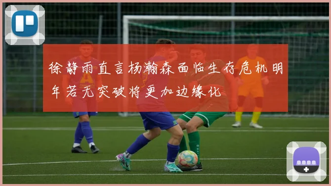 徐静雨直言杨瀚森面临生存危机明年若无突破将更加边缘化